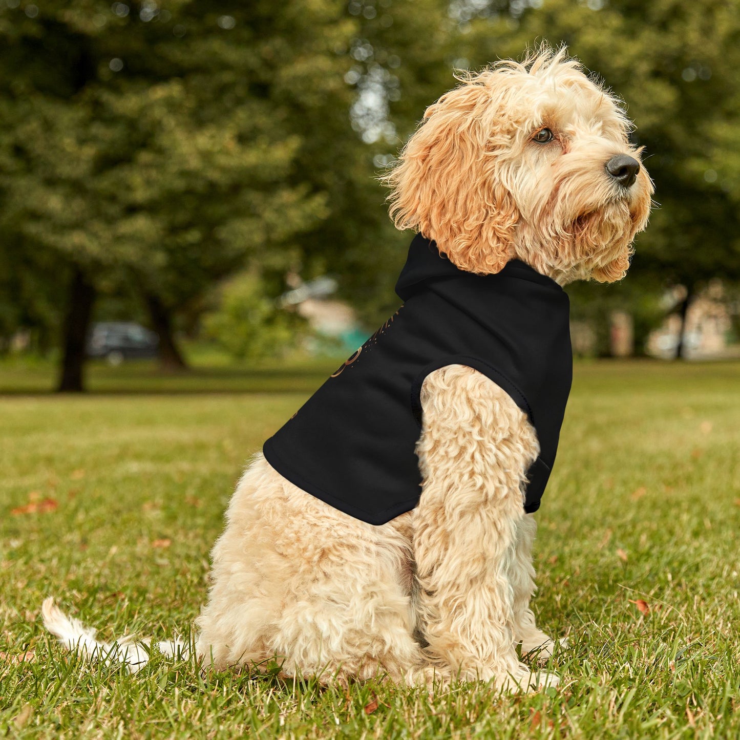 Lux Coffee & Tea Pet Hoodie Black