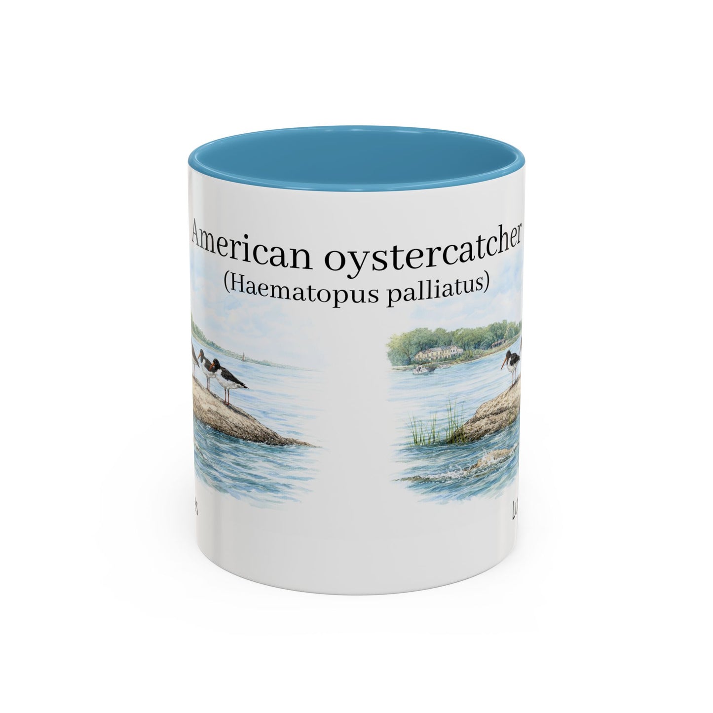 LUX Coffee and Tea Shorelines American oystercatcher (Haematopus palliatus)  Accent Mug  (11oz /15oz)