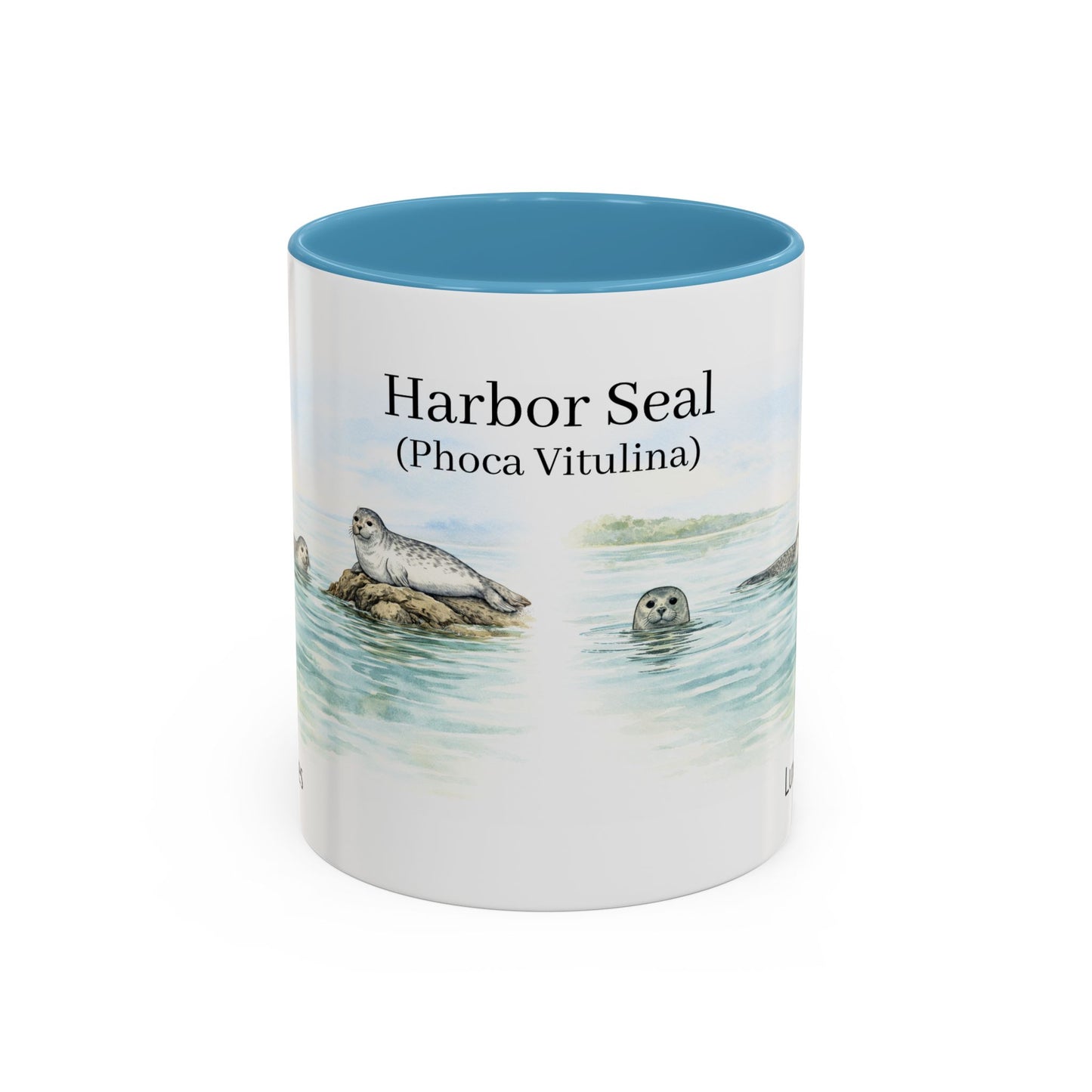 LUX Coffee and Tea Shorelines Harbor Seal (Phoca Vitulina) Accent Mug  (11oz /15oz)