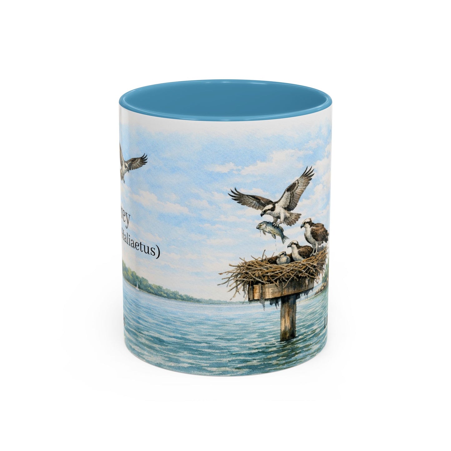 LUX Coffee and Tea Shorelines Ospreys (Pandion Haliaetus) at the Cove Accent Mug  (11oz /15oz)