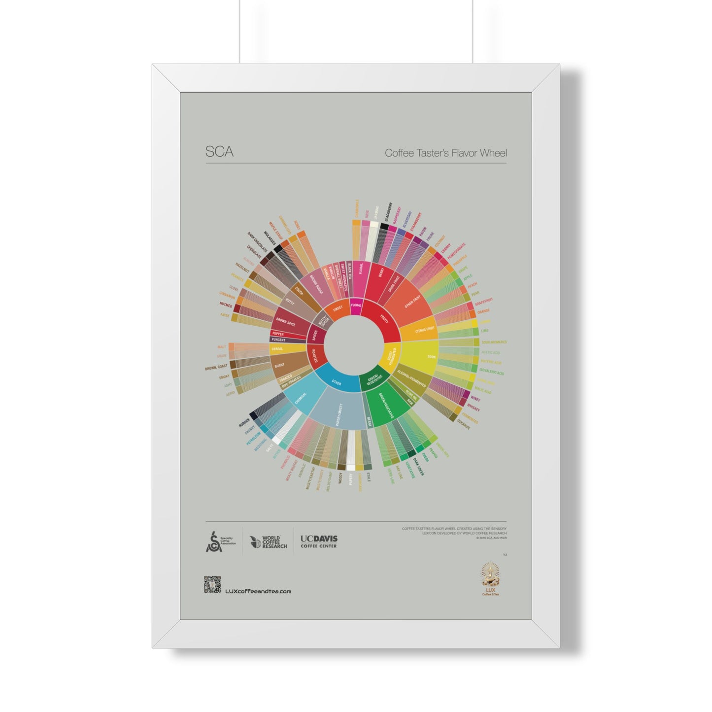 LUX Coffee Taster’s Flavor Wheel Poster  Framed Poster