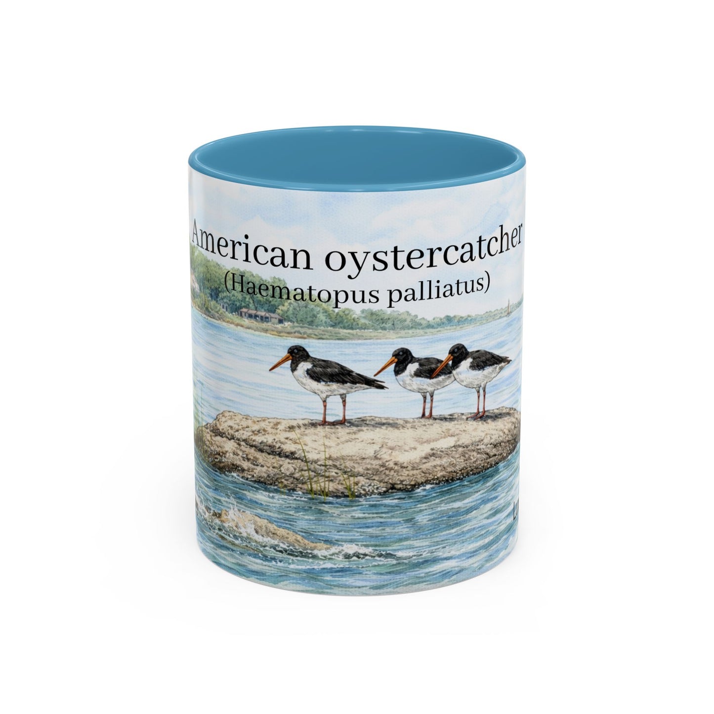 LUX Coffee and Tea Shorelines American oystercatcher (Haematopus palliatus) at the Cove Accent Mug  (11oz /15oz)