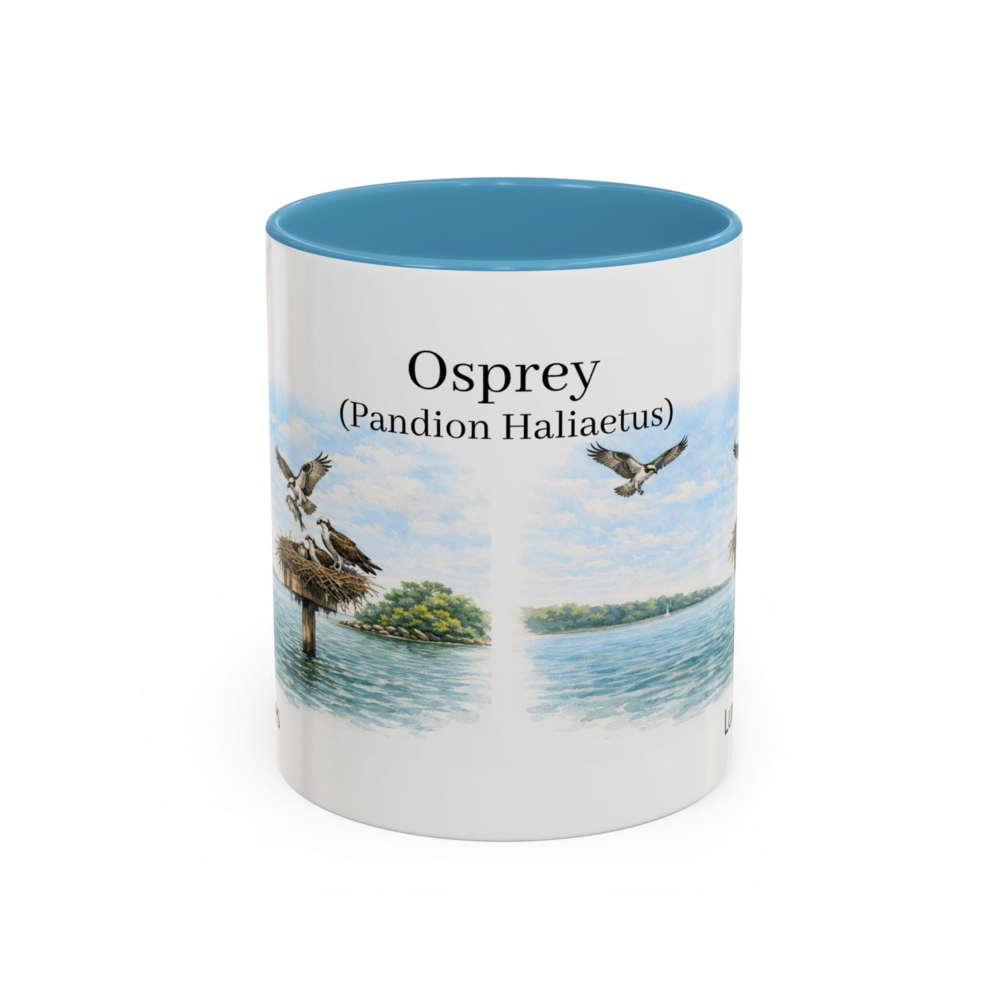 LUX Coffee and Tea Shorelines Ospreys (Pandion Haliaetus) Accent Mug  (11oz /15oz)