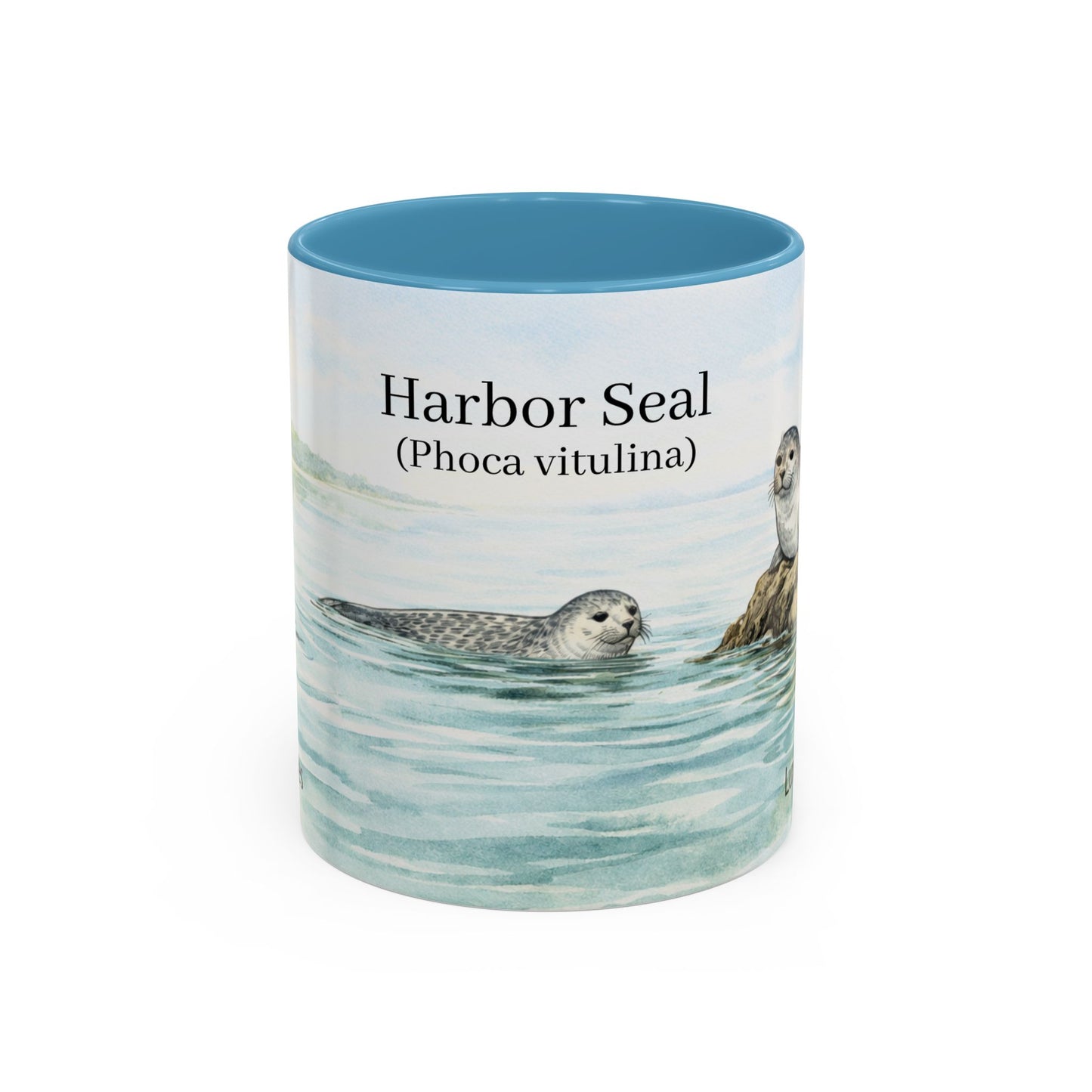 LUX Coffee and Tea Shorelines Harbor Seal (Phoca Vitulina)at the Cove Accent Mug  (11oz /15oz)
