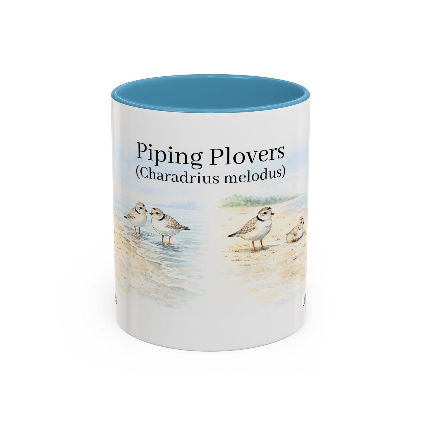 LUX Coffee and Tea Shorelines Piping Plovers (Charadrius melodus) Accent Mug  (11oz /15oz)