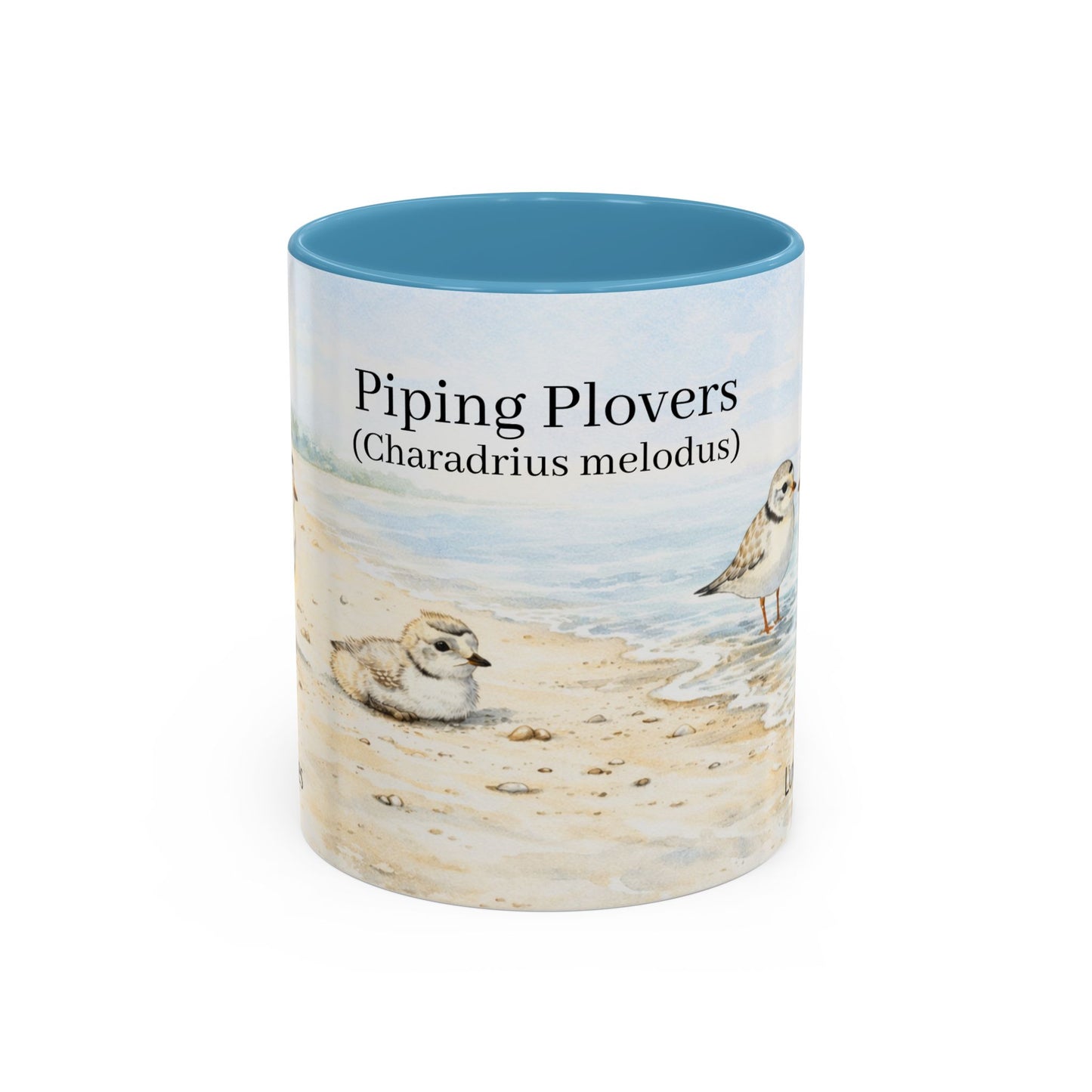 LUX Coffee and Tea Shorelines Piping Plovers (Charadrius melodus) at Greenwich Island Accent Mug  (11oz /15oz)